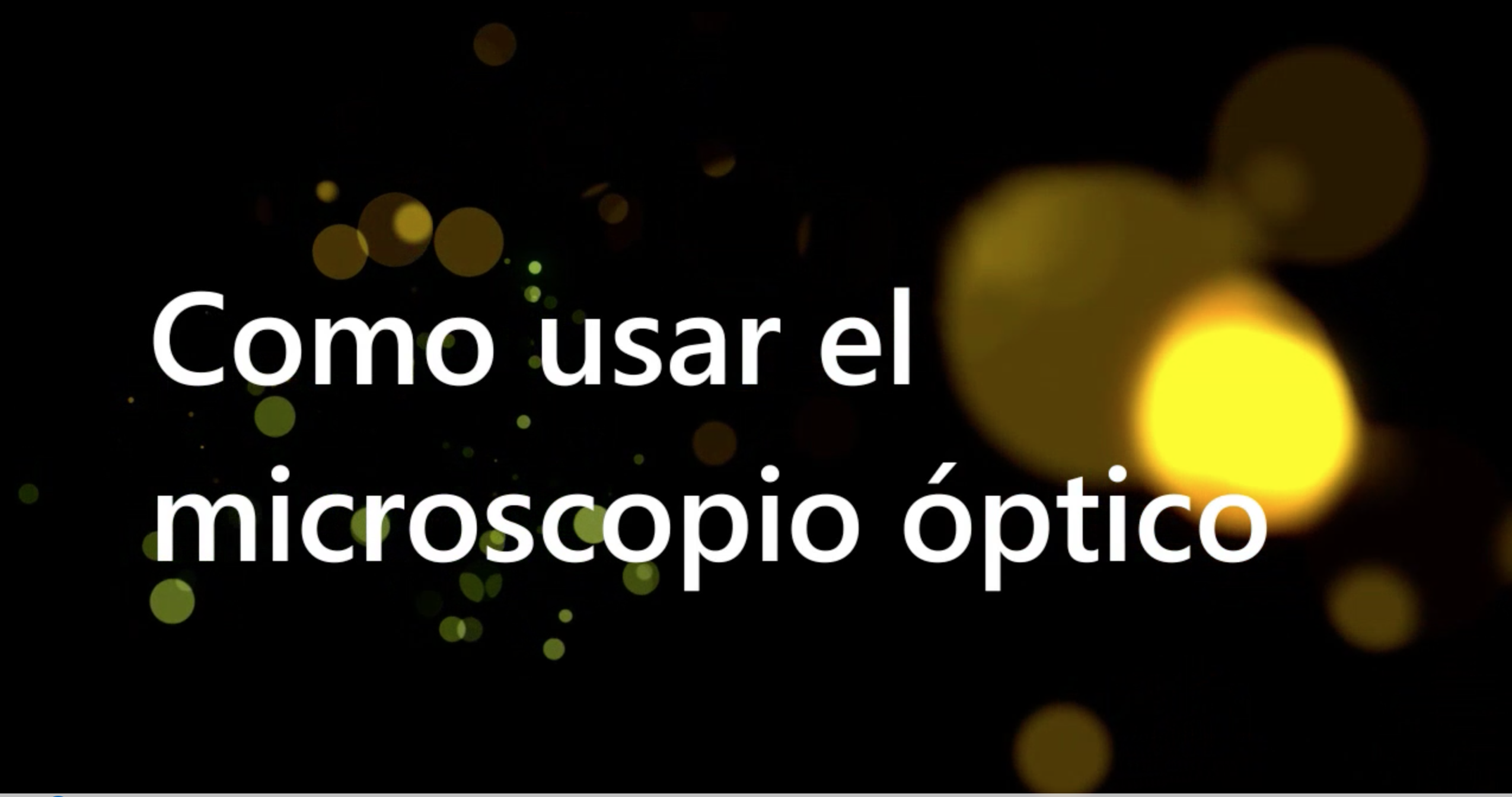 Uso del Microscopio Optico