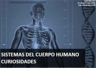 sistema cuerpo humano
